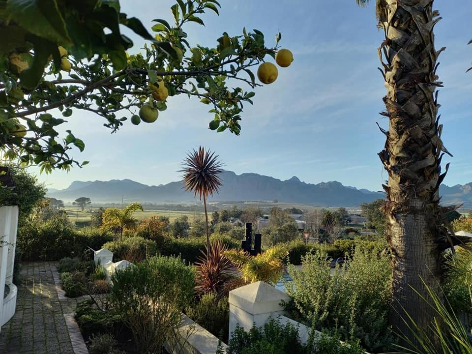 Wild Mushroom Country House Stellenbosch Extérieur photo
